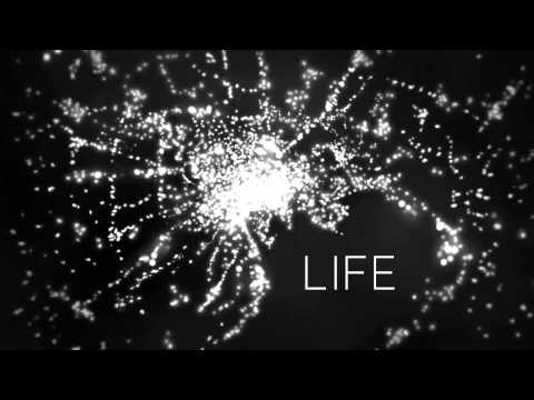 W.E.B. | A TRILOGY ABOUT LIFE [trailer]