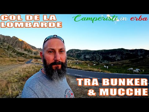 Tra BUNKER e mucche al COL DE LA LOMBARDE, fantastici 2350 metri nella natura
