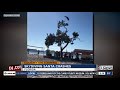 Skydiving Santa Crashes Into Tree And Pole