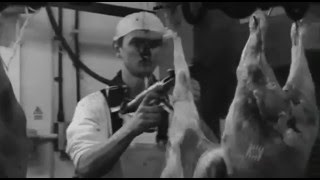 Slaughterhouse - The Task of Blood