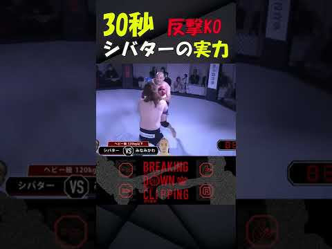 【意外と強い】シバターの実力【ブレイキングダウンの世界】#shorts