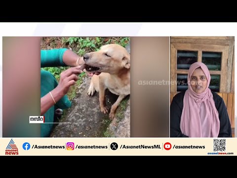 'കുട്ടികൾ വരുന്നപോലെ വന്നു നിന്നു'; നായയുടെ വായിൽ കുടുങ്ങിയ എല്ല് എടുത്തുമാറ്റിയ വീട്ടമ്മ | Wayanad