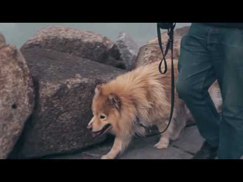 Biffty - Souloulouye (Prod. Dj Weedim)