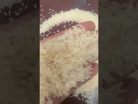 1121 Basmati Golden Sella Rice