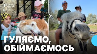 Реабілітація дітей на Миколаївщині: використовують коней та поні (відео)