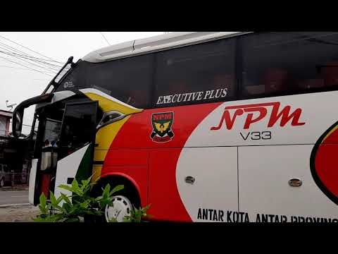 Loket Bus NPM Bukittinggi