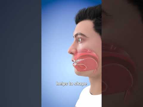 If You Lost Your Tongue 🤔