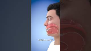 Download lagu If You Lost Your Tongue 🤔 mp3