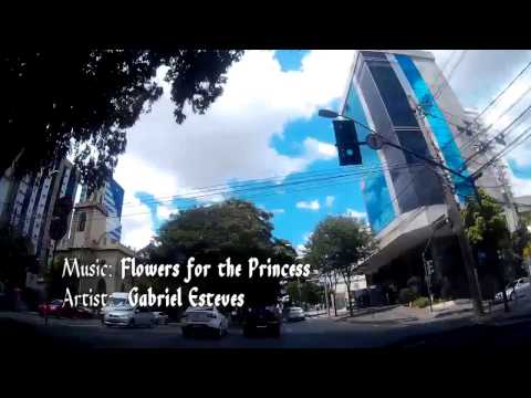 Gabriel Esteves - Flowers for the Princess (sample)