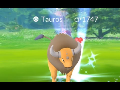 BEAST MODE! 💪 Tauros Buffed in November Balancing Update!