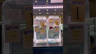 Download lagu Spill ikan cupang kontes yang juara di nusatic 2025 #ikancupang #bettafish mp3