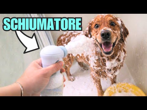 Dog Foam Bath and Hands-Free Dryer