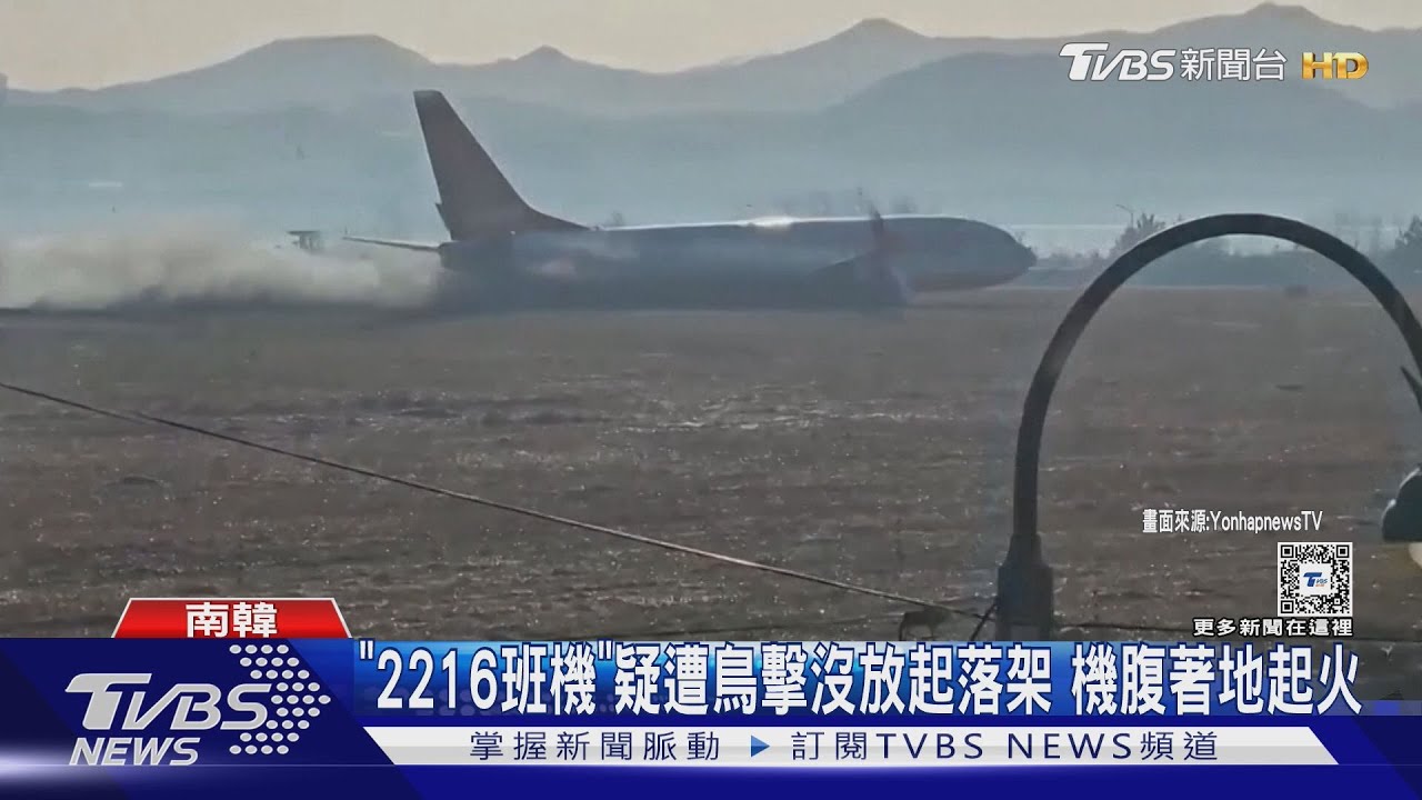南韓「濟州航空」客機昨才飛桃園　今降落時疑遭鳥擊爆炸