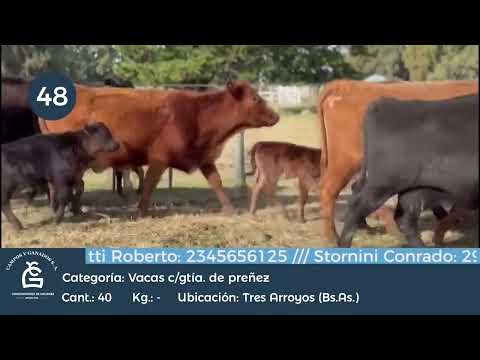 Lote Vc CGP - Tres Arroyos BS AS