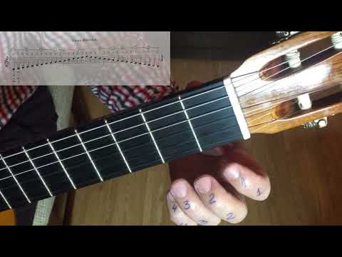 Petrica Moisuc - chitara // LECTII DE CHITARA - GAMA DIATONICA