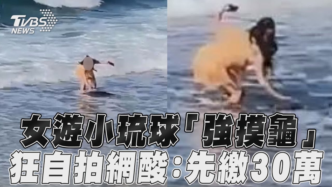 影音/女遊小琉球「強摸龜」 狂自拍網酸:先繳30萬