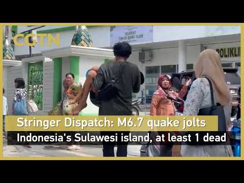 Stringer Dispatch: M6.7 quake jolts Indonesia's Sulawesi island, at least 1 dead