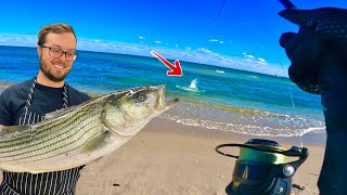 NJ Striped Bass FALL RUN INSANITY | Season RECAP + Seared Striped Bass With MOREL Sauce