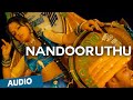 Nandooruthu Official Full Song Audio Nedunchalai