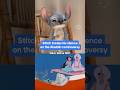We Asked Stitch About The 2002 Lilo Stitch Trailer With Aladdin Jasmine Stitch Movie Ign