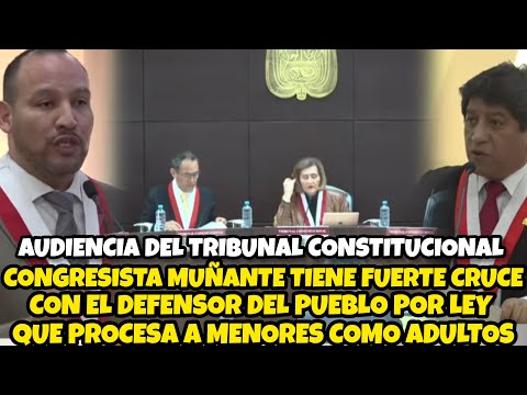 FUERTE CRUCE ENTRE MUÑANTE Y EL DEFENSOR DEL PUEBLO ANTE EL TC POR LEY QUE PROCESA A MĘN0RES COMO AD