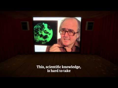 The Witness: Yesterday, Tomorrow and You