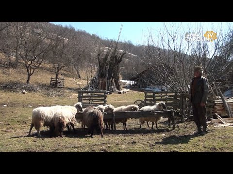 Nea Vasile, un gospodar tare cumsecade