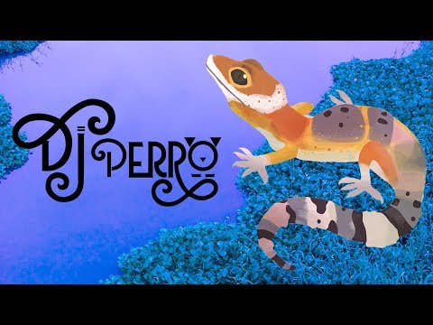 DJ Perro - Gecko (Lyric Video)
