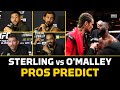 Pros Predict Aljamain Sterling vs. Sean O'Malley | UFC 292 | MMA Fighting