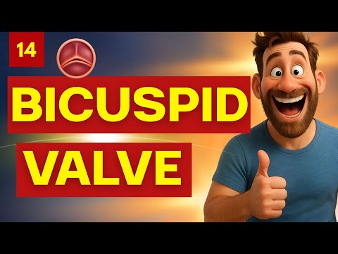 Bicuspid Aortic Valve - Everything You Need to Know - EXPLAINED Clearly!