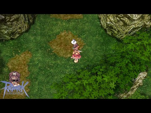 Novice Hunting In Payon Field 8 - Peaceful Forest (Ragnarok Online Music & Ambience)