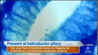 Probióticos para ayudar a la erradicación del Helicobacter pylori