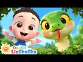 Soy Una Serpiente Canción De La Granja LiaChaCha En Español Canciones Infantiles