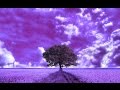 Frankie Knuckles Ft. Jamie Principle - It's A Cold World