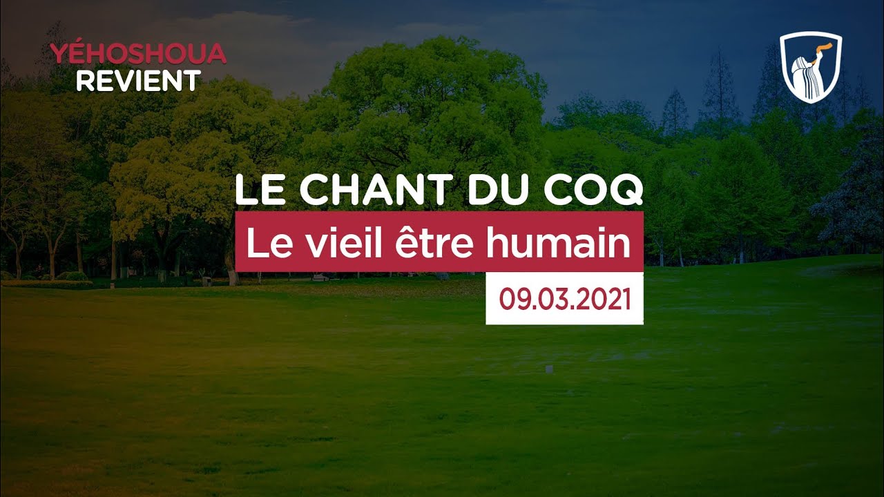 Thumbnail of video: Le vieil être humain