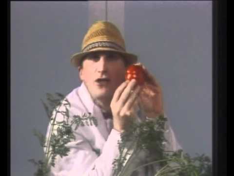 Otto Waalkes - Tomatenrübe