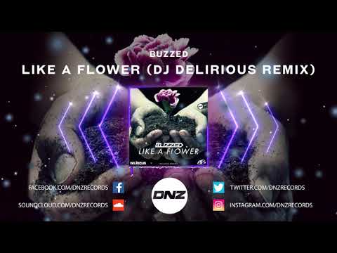 DNZ372 // BUZZED - LIKE A FLOWER DJ DELIRIOUS REMIX (Official Video DNZ Records)