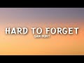 Sam Hunt Hard To Forget