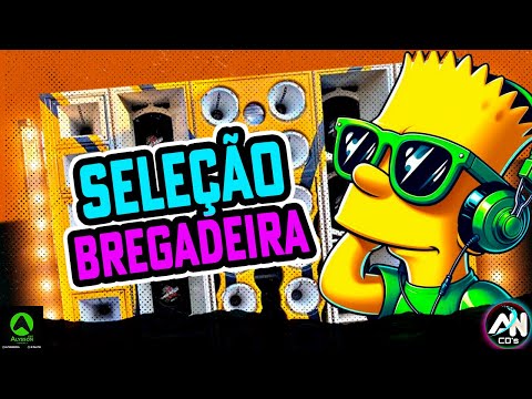 SUPER BREGADEIRA 2025 - AS MELHORES DO TIKTOK 2025 - MÚSICAS BREGADEIRA PRA PAREDÃO - SELEÇÃO HITS