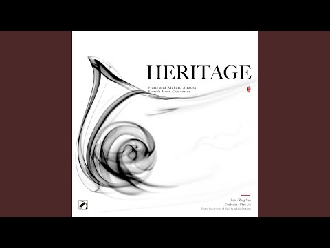 Horn Concerto No. 1 in E-Flat Major, Op. 11: Ⅰ-Ⅱ. Allegro - Andante