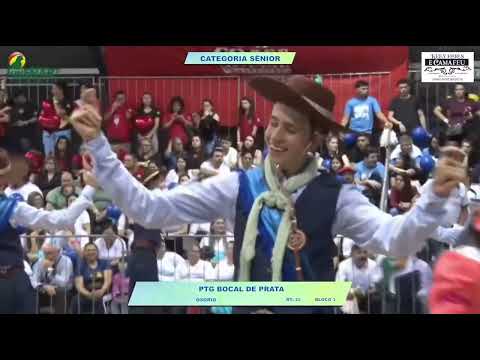 Invernada Juvenil - XXI JUVENART 2025 - CATEGORIA SÊNIOR - PTG BOCAL DE PRATA