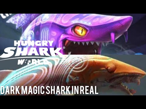 Dark Magic Shark in Real ? - Hungry Shark World