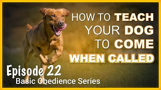 How to Teach Your Dog to Come When Called. Episode 22