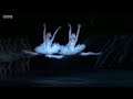 Swan Lake Dance Of The Big Swans Mayara Magri And Claire Calvert