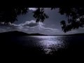 SILENCE OF THE NIGHT 