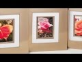 ZINK Phone Photo Labels Wireless Printer