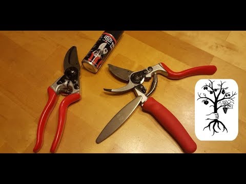 Die beste Astschere/Gartenschere für den Baumschnitt - Felco 7 & 8