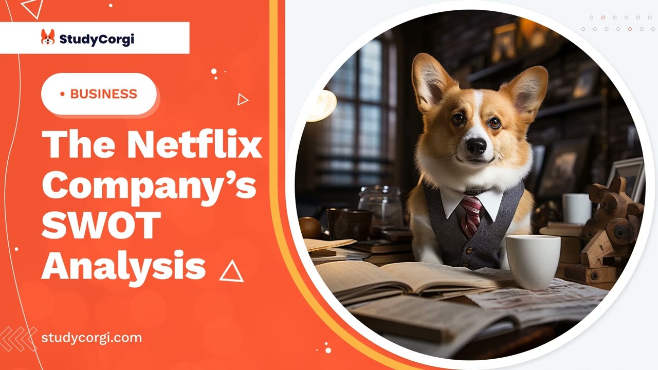 The Netflix Company's SWOT Analysis - Research Paper Example