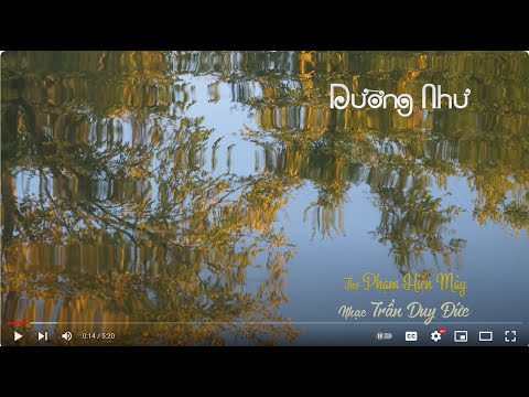 Dường như Sheet - Thảo Quyên