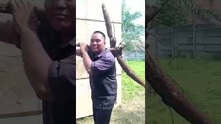 Download lagu MINTA THR VERSI JASENG #bunut #wayratai mp3